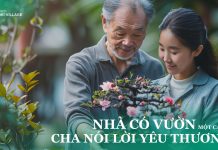 Tiện Ích Nội Khu Căn Hộ IKI Village Có Đủ Hấp Dẫn?